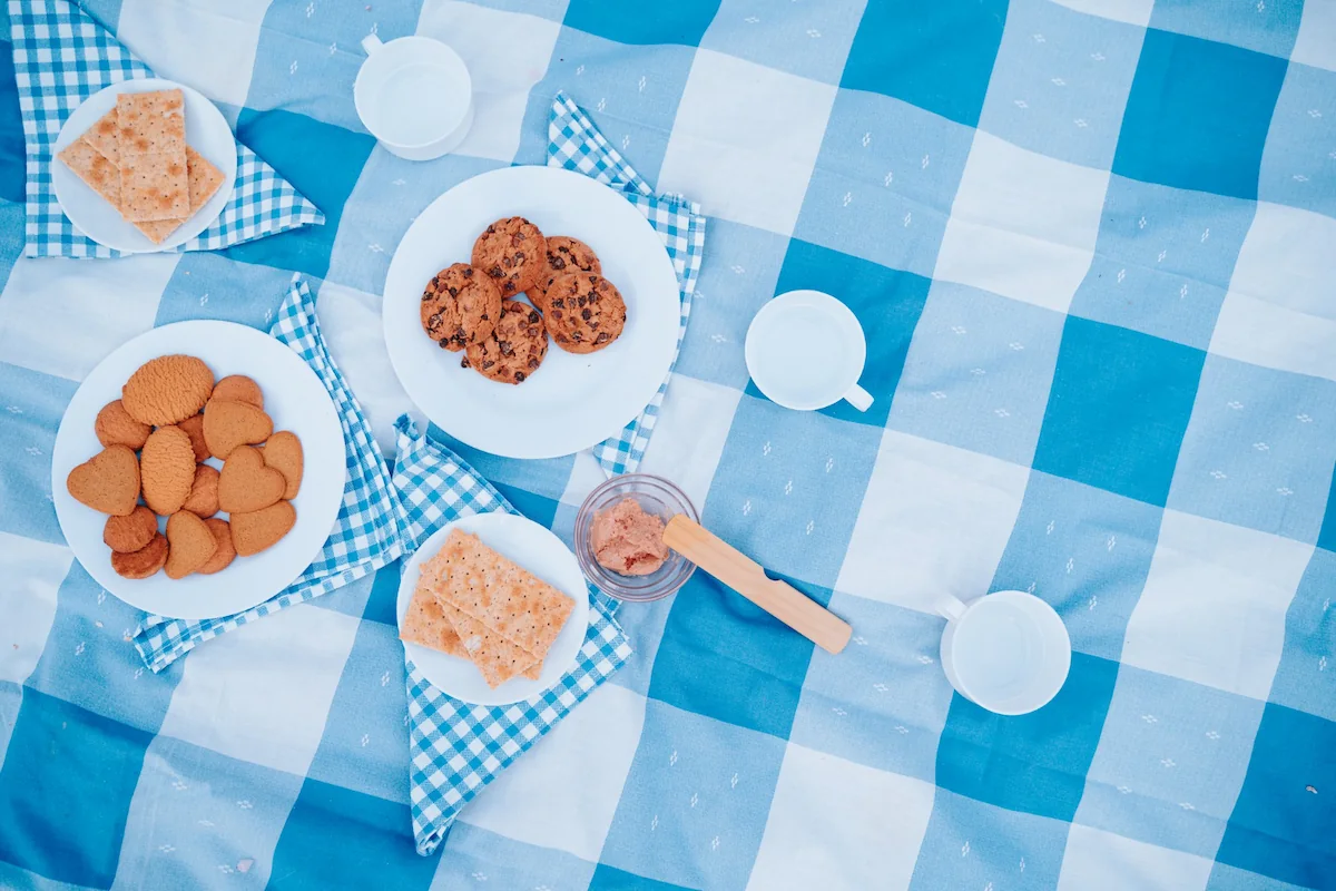 11 Rekomendasi Menu Simple untuk Bekal Piknik yang Praktis